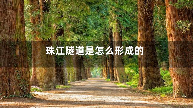 珠江隧道是怎么形成的