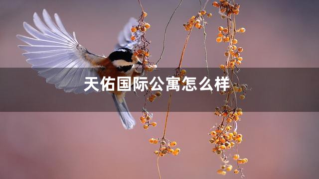 天佑国际公寓怎么样