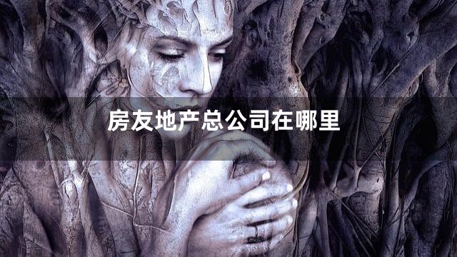 房友地产总公司在哪里