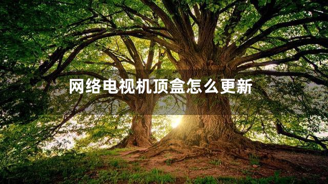 网络电视机顶盒怎么更新