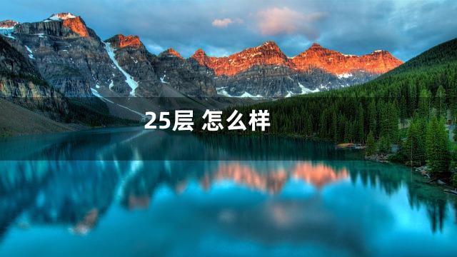 25层 怎么样