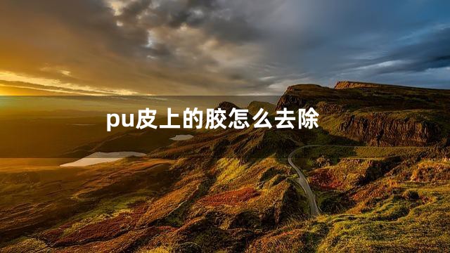 pu皮上的胶怎么去除