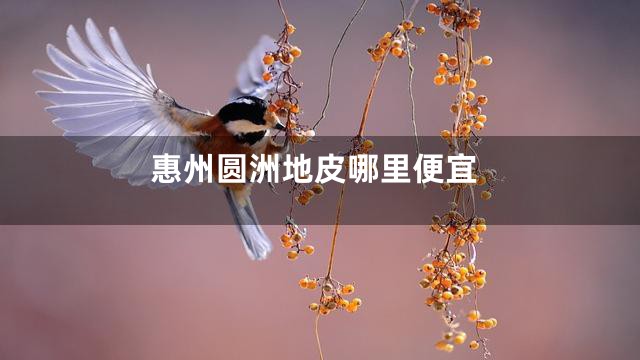 惠州圆洲地皮哪里便宜