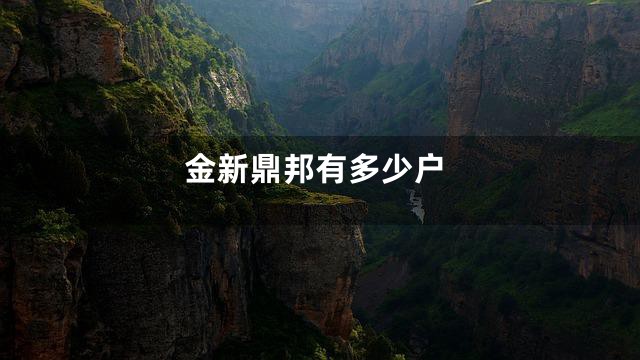 金新鼎邦有多少户