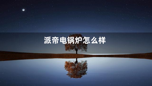 派帝电锅炉怎么样