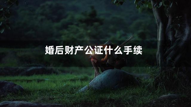 婚后财产公证什么手续