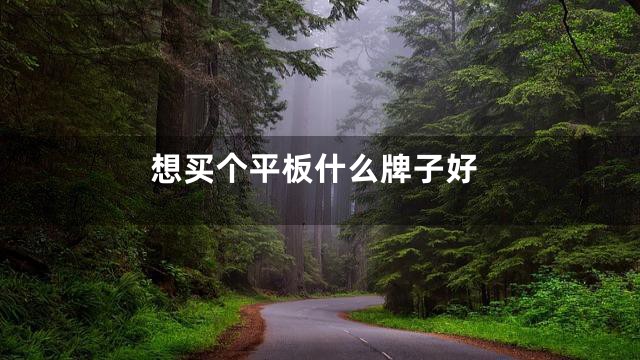 想买个平板什么牌子好