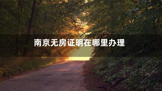 南京无房证明在哪里办理