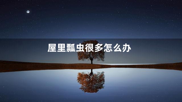 屋里瓢虫很多怎么办