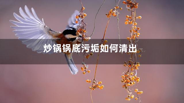 炒锅锅底污垢如何清出