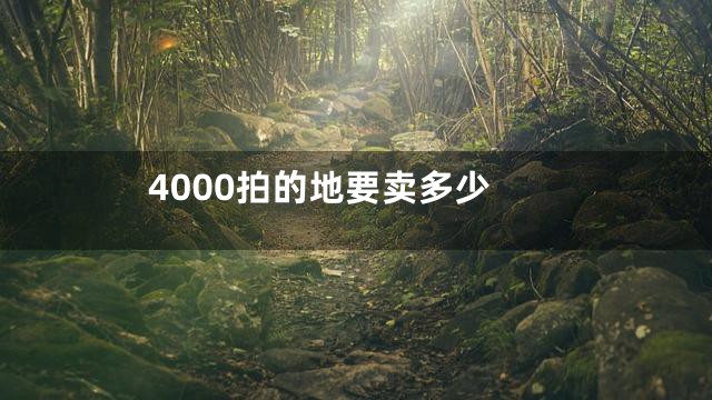 4000拍的地要卖多少
