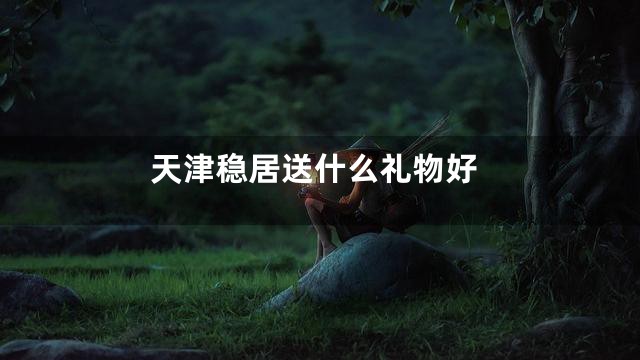 天津稳居送什么礼物好