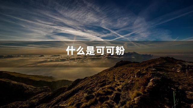 什么是可可粉