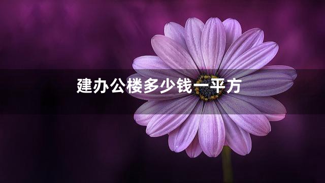 建办公楼多少钱一平方