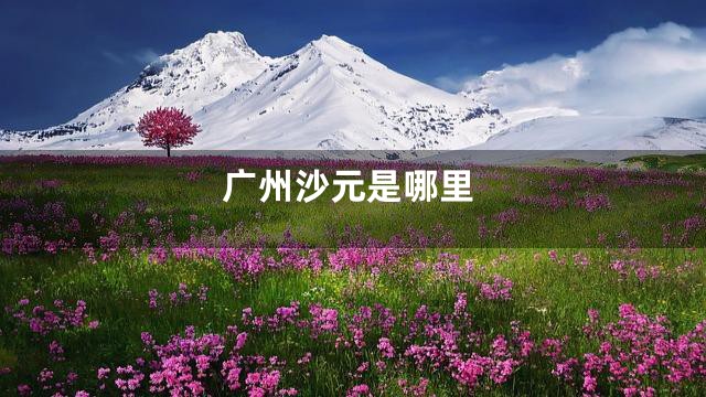 广州沙元是哪里