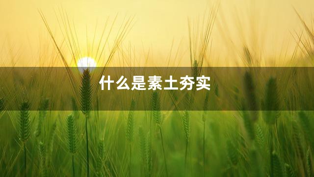 什么是素土夯实