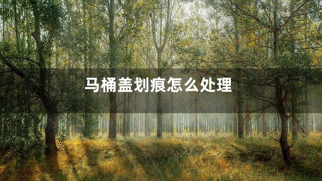 马桶盖划痕怎么处理