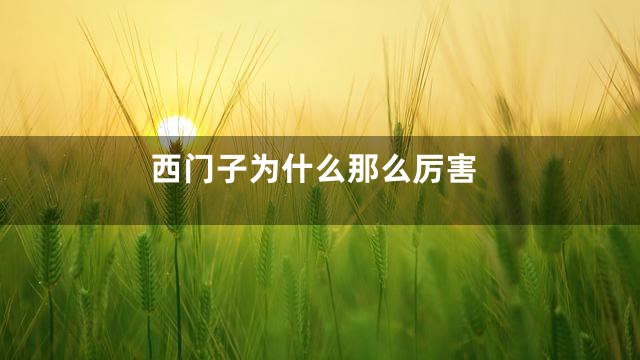 西门子为什么那么厉害