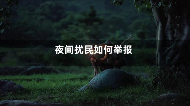 夜间扰民如何举报