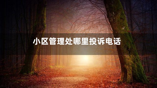 小区管理处哪里投诉电话