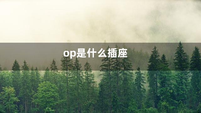 op是什么插座