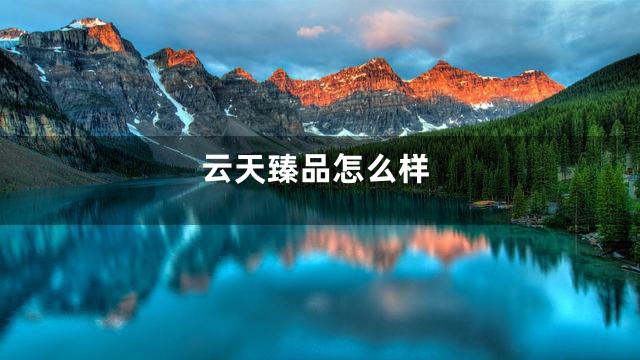 云天臻品怎么样