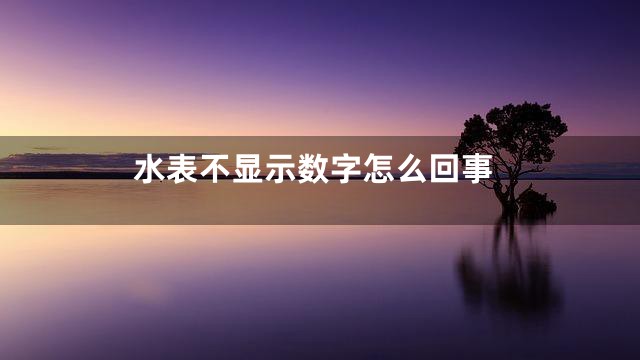 水表不显示数字怎么回事