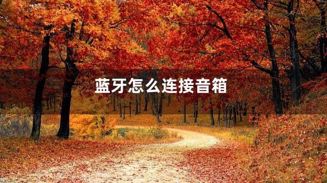 蓝牙怎么连接音箱