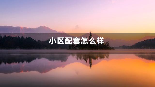 小区配套怎么样