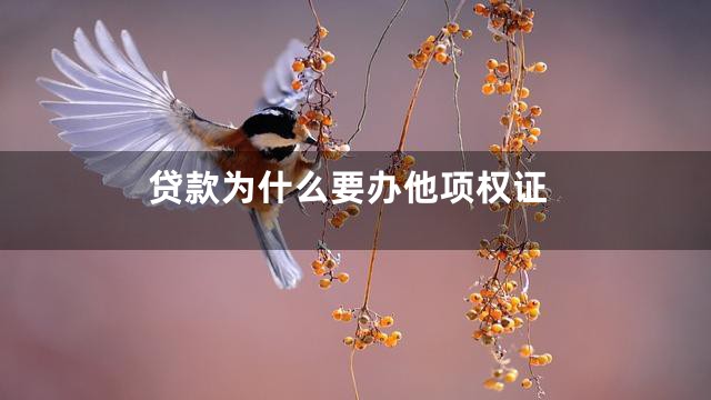 贷款为什么要办他项权证