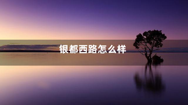 银都西路怎么样