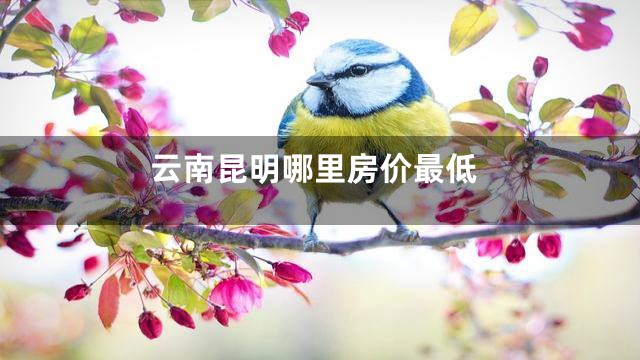云南昆明哪里房价最低