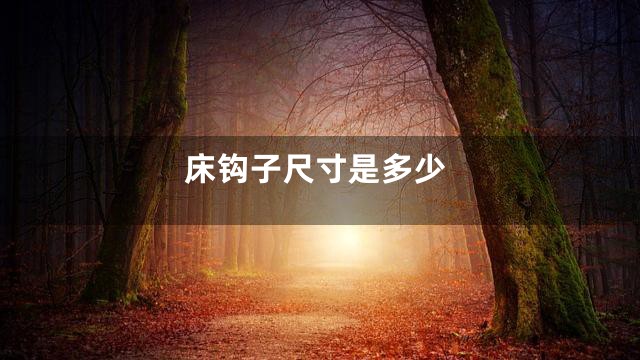 床钩子尺寸是多少