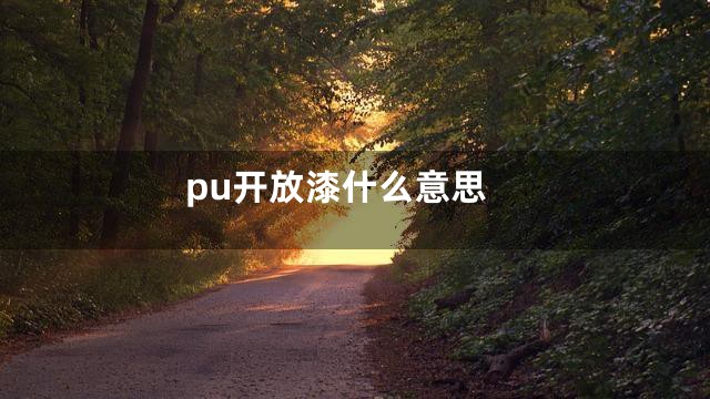 pu开放漆什么意思
