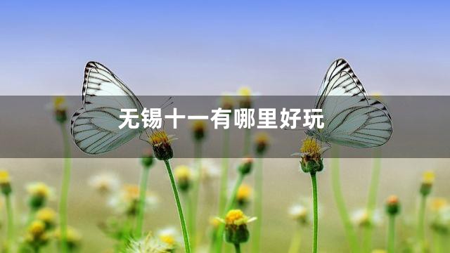 无锡十一有哪里好玩