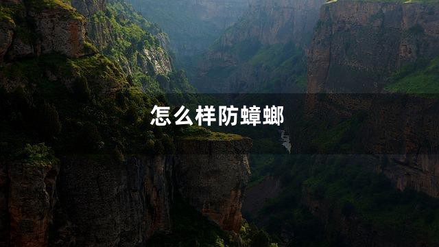 怎么样防蟑螂