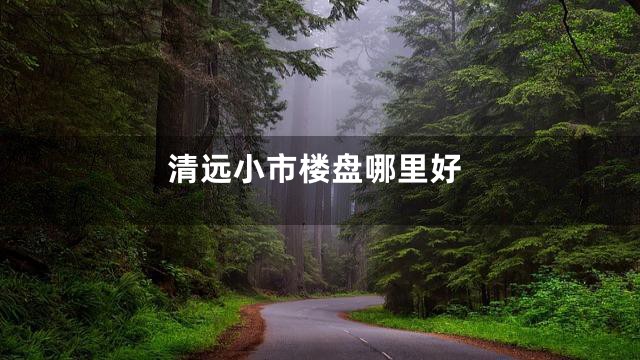 清远小市楼盘哪里好
