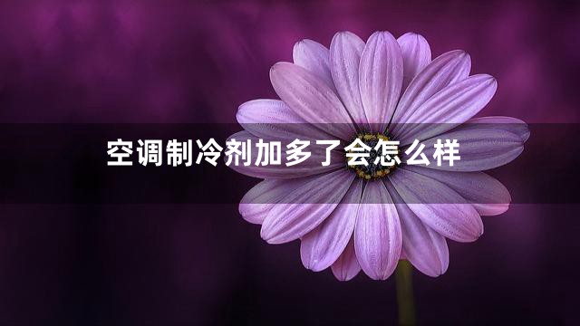 空调制冷剂加多了会怎么样