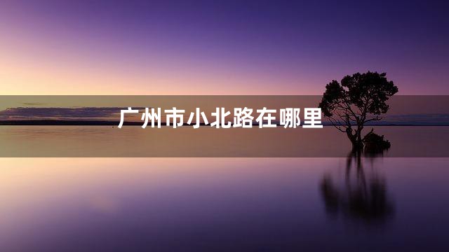 广州市小北路在哪里