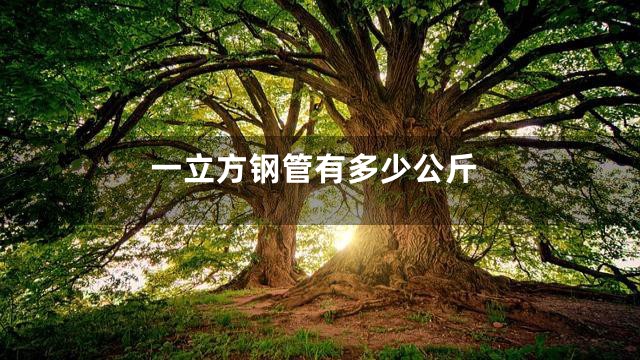 一立方钢管有多少公斤