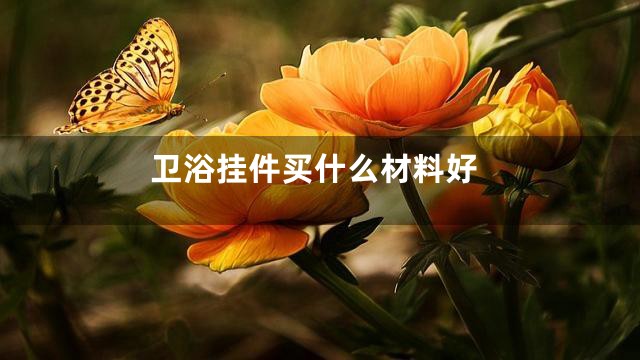 卫浴挂件买什么材料好