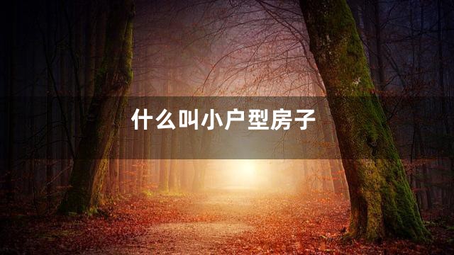 什么叫小户型房子