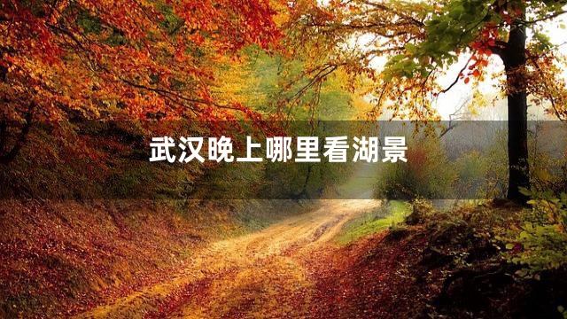 武汉晚上哪里看湖景