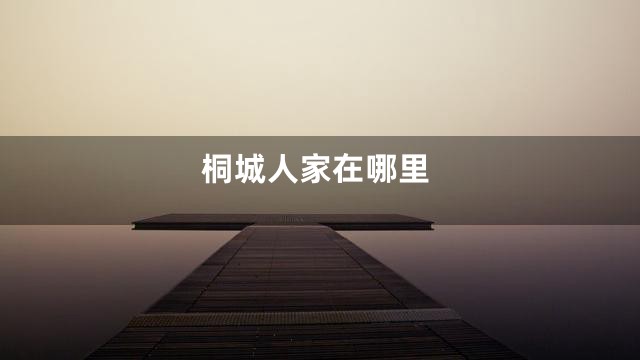 桐城人家在哪里