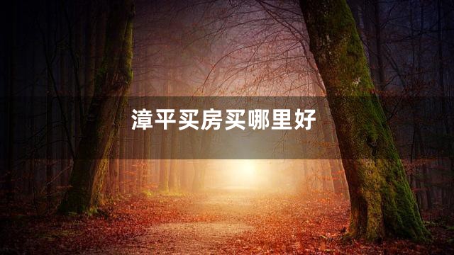 漳平买房买哪里好