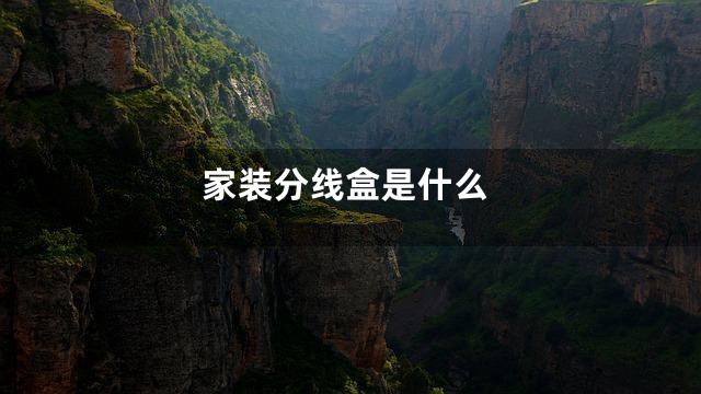 家装分线盒是什么
