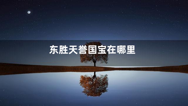 东胜天誉国宝在哪里