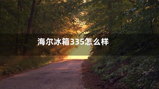 海尔冰箱335怎么样