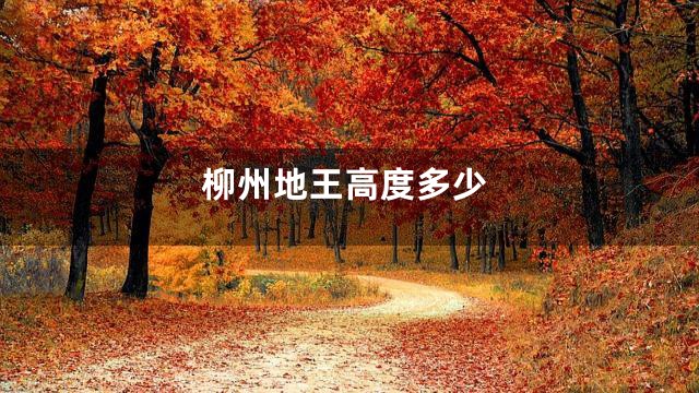 柳州地王高度多少