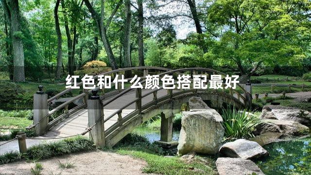 红色和什么颜色搭配最好
